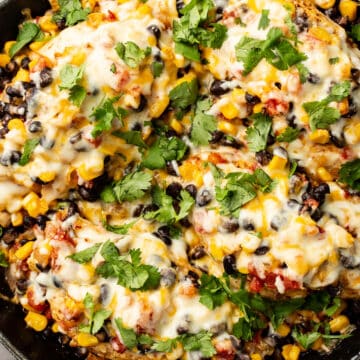 21 Best One Skillet Dinners 9 santa fe chicken recipe 61
