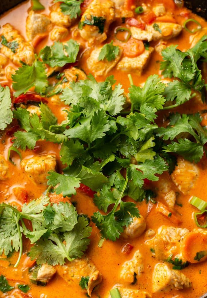 close-up of Thai red chicken curry