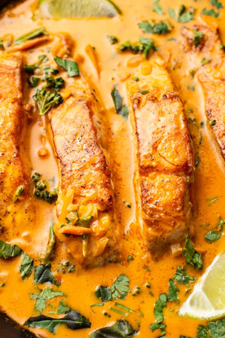 close-up of salmon coconut curry