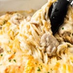 close-up of cheesy Chicken Tetrazzini in baking dish with tongs twirling the spaghetti