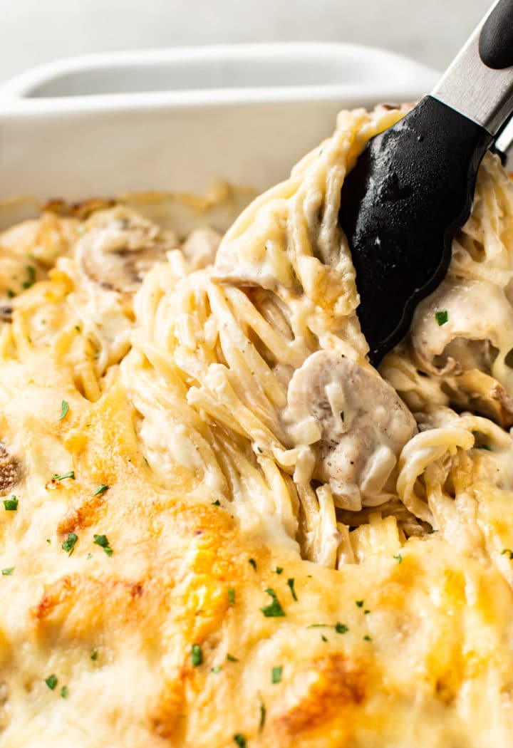 close-up of cheesy Chicken Tetrazzini in baking dish with tongs twirling the spaghetti