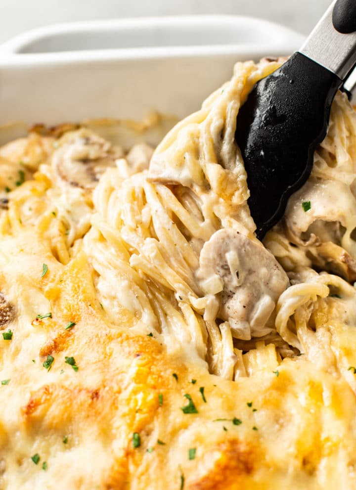 close-up of cheesy Chicken Tetrazzini in baking dish with tongs twirling the spaghetti