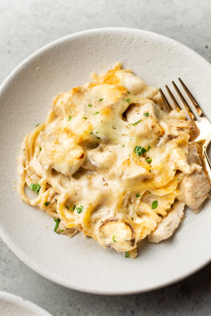 Chicken Tetrazzini in a shallow bowl with a gold fork