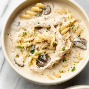 Chicken Tetrazzini Soup in two beige bowls on a marble background