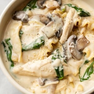 close-up of creamy chicken lasagna soup