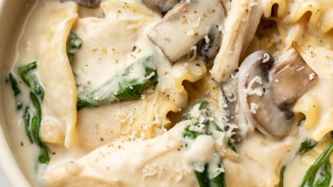 close-up of creamy chicken lasagna soup