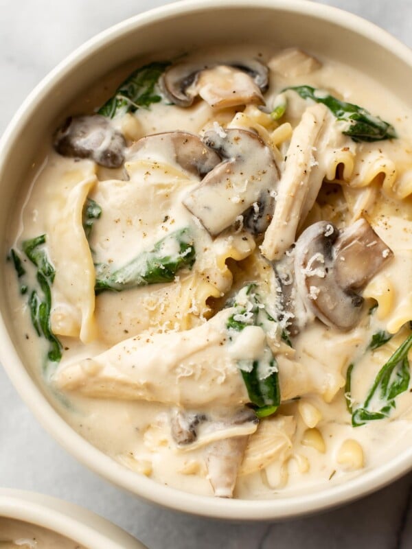 close-up of creamy chicken lasagna soup