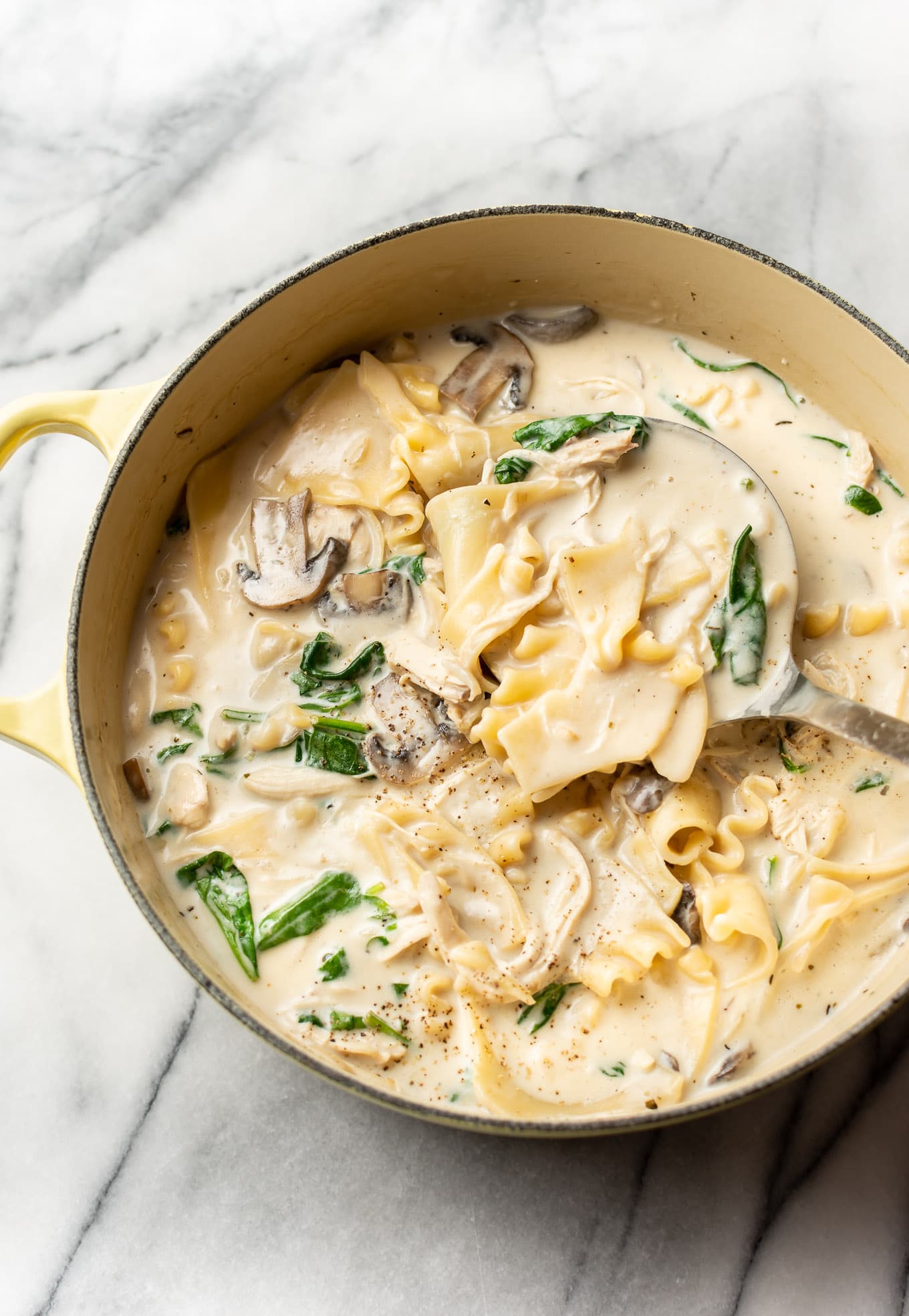 Creamy Chicken Lasagna Soup • Salt & Lavender