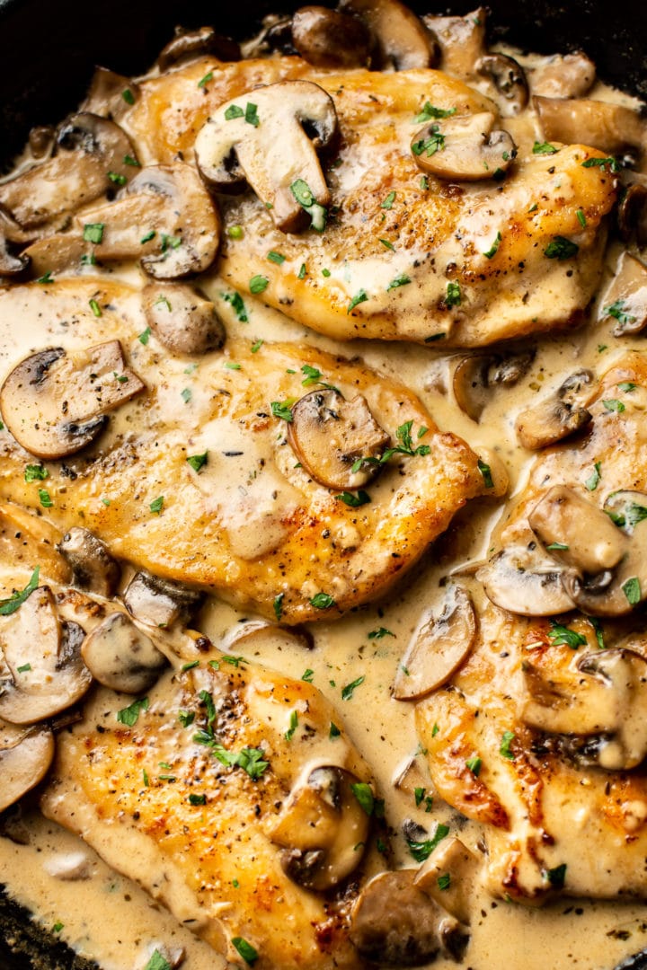 close-up of creamy white wine mushroom chicken