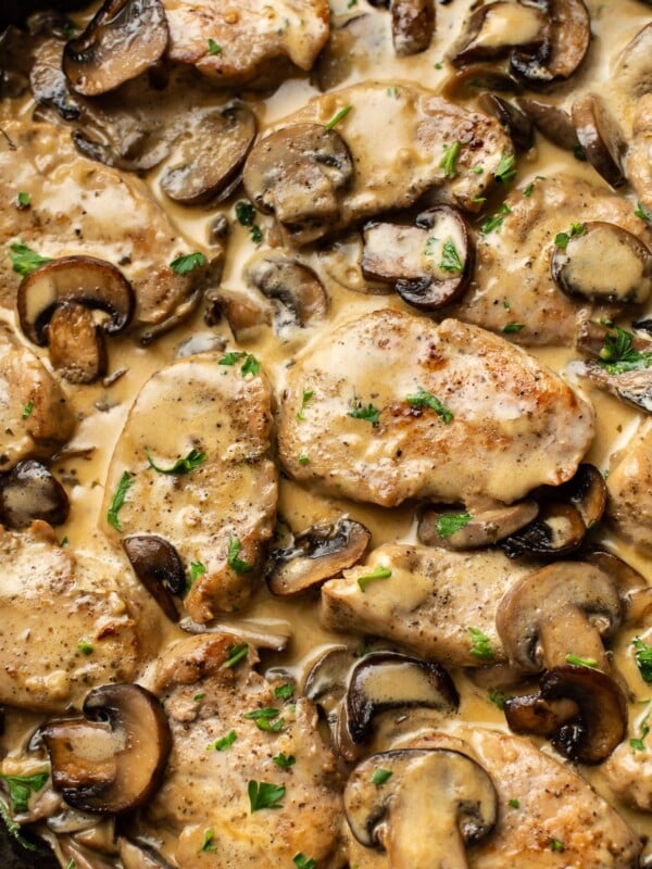 close-up of creamy mushroom pork tenderloin