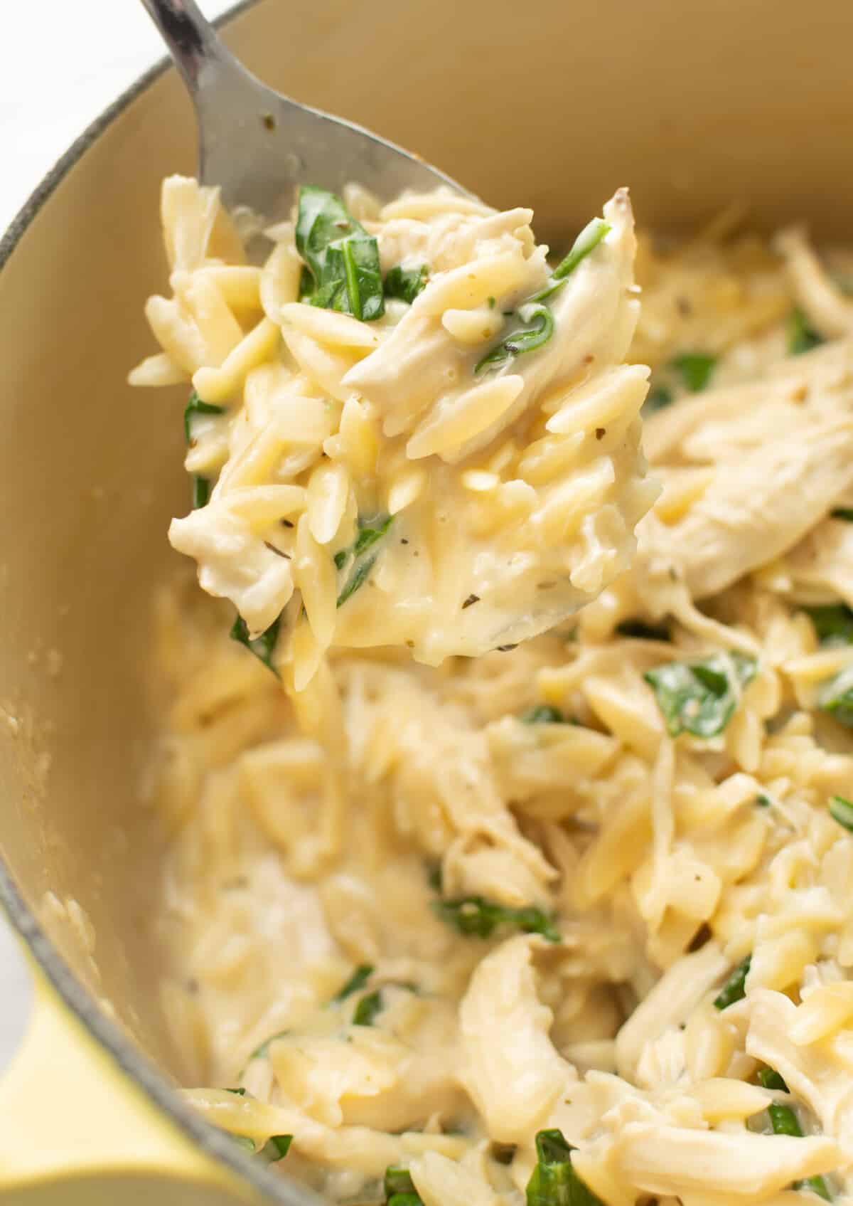closeup of a spoonful over lemon chicken orzo