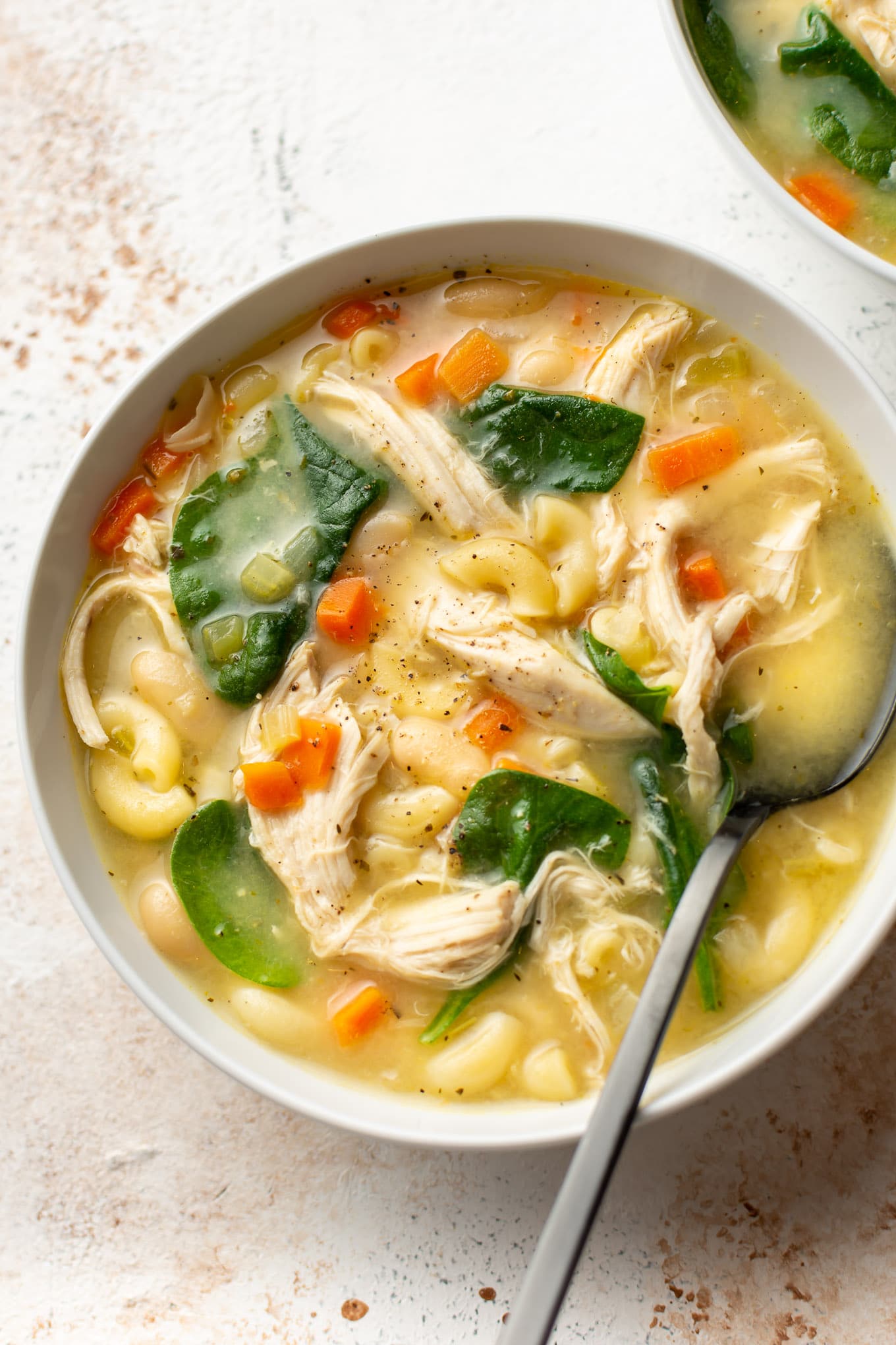 It has pasta, veggies, beans, and tender chicken in a tasty lemony broth. 