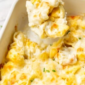 close-up of a spoonful of baked tortellini Alfredo being lifted out of a casserole dish