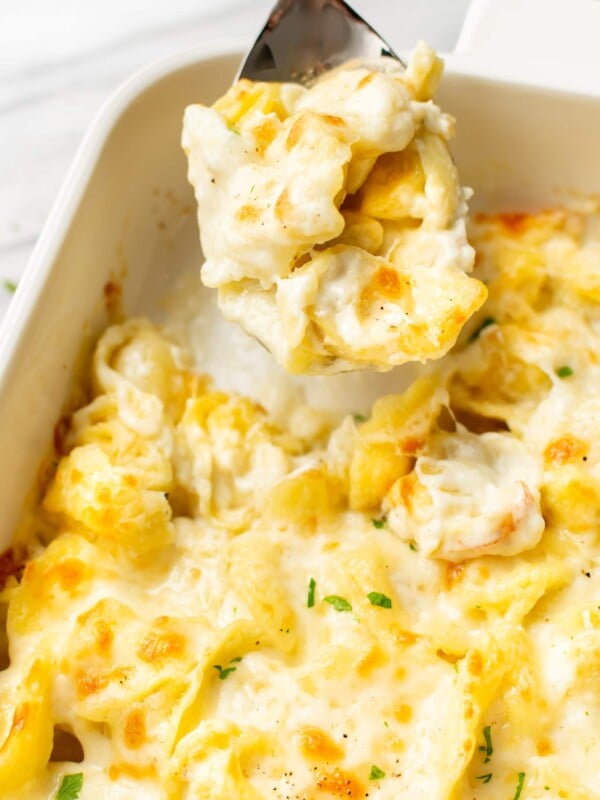 close-up of a spoonful of baked tortellini Alfredo being lifted out of a casserole dish