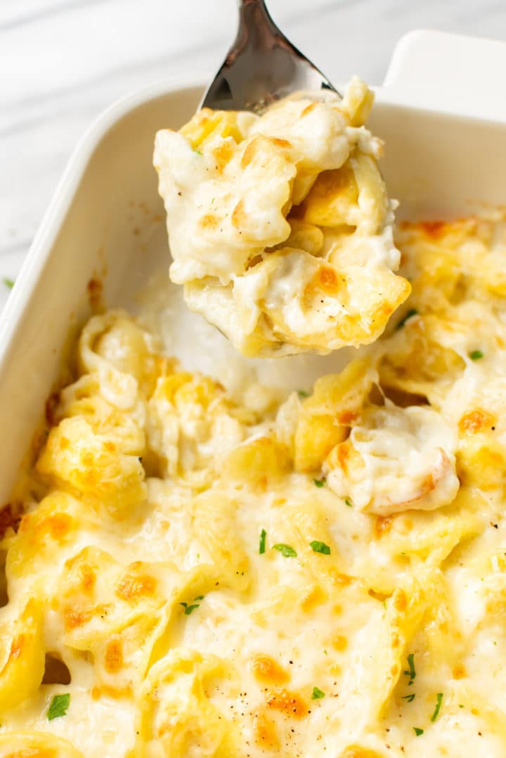 close-up of a spoonful of baked tortellini Alfredo being lifted out of a casserole dish