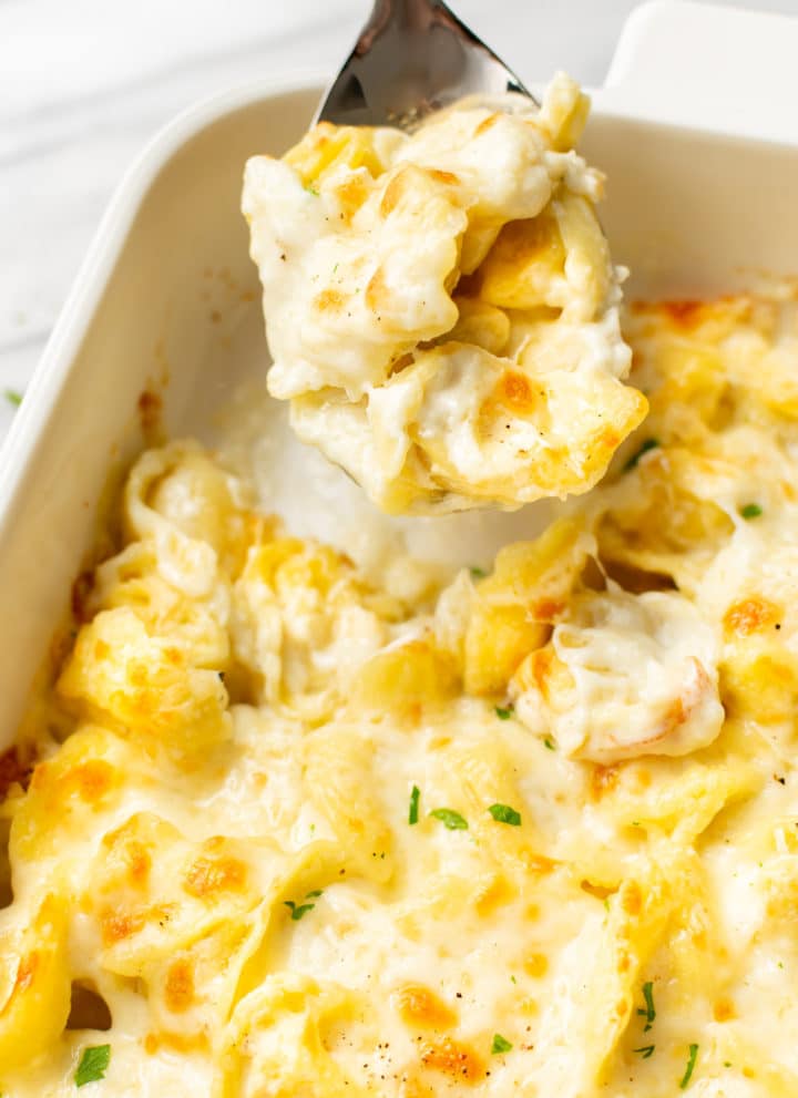 close-up of a spoonful of baked tortellini Alfredo being lifted out of a casserole dish