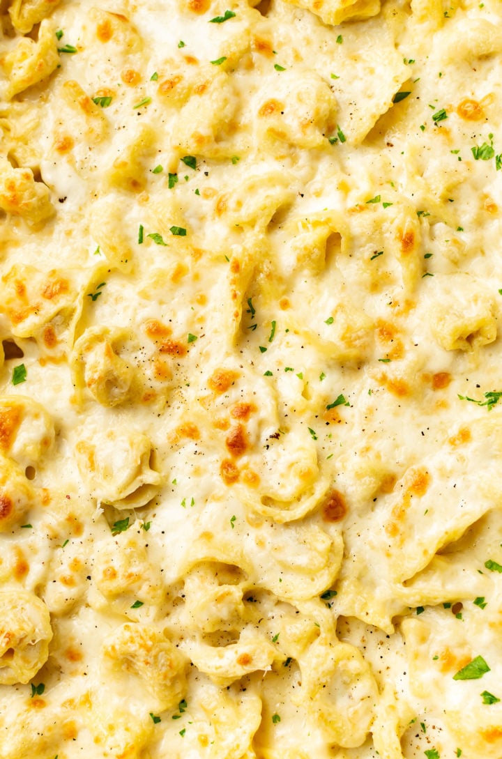 close-up of cheesy Alfredo tortellini bake