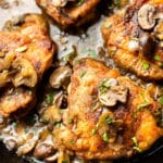 white wine chicken thighs with mushroom herb butter sauce in a skillet close-up