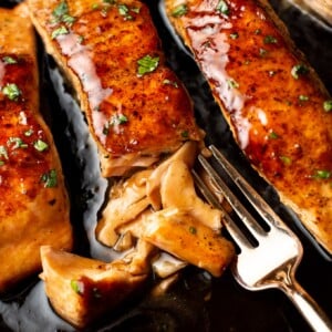 close-up of brown sugar glazed salmon flaked with a fork