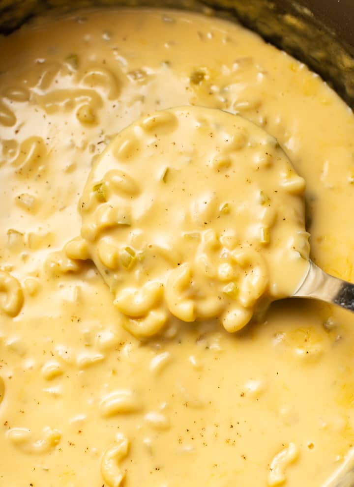 extreme close-up of a ladle with macaroni and cheese soup