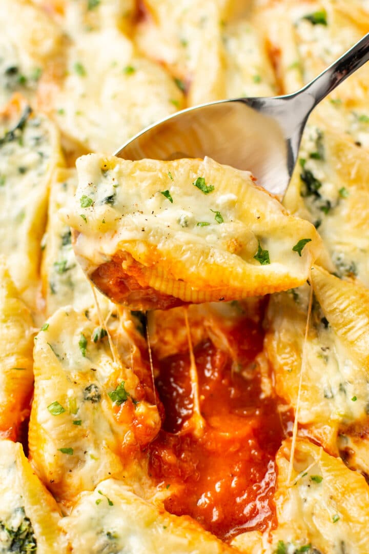 a spoonful of stuffed shells