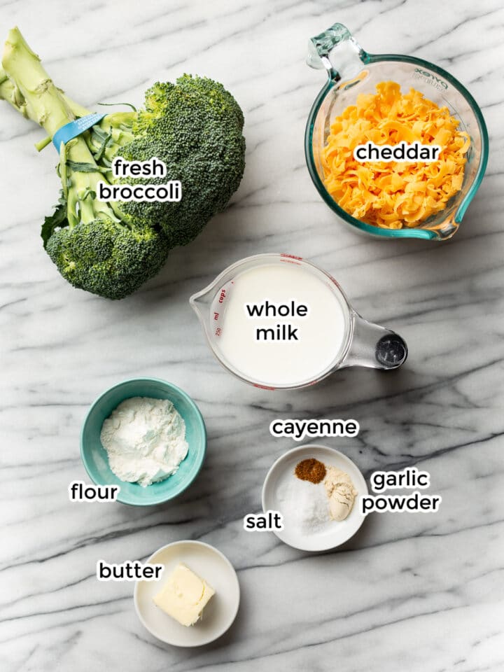 ingredients for homemade cheese sauce on a marble surface