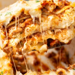 closeup of lasagna on a metal spatula