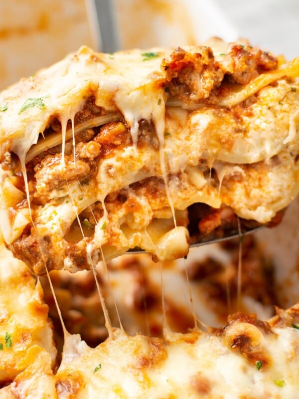 closeup of lasagna on a metal spatula