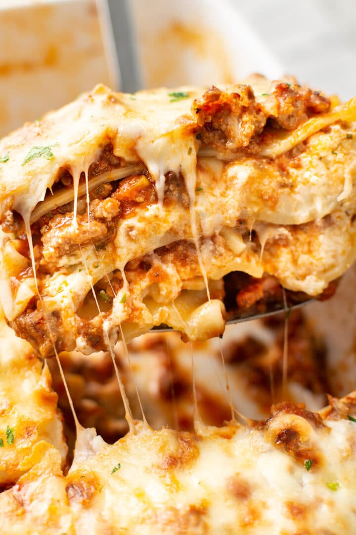 closeup of lasagna on a metal spatula
