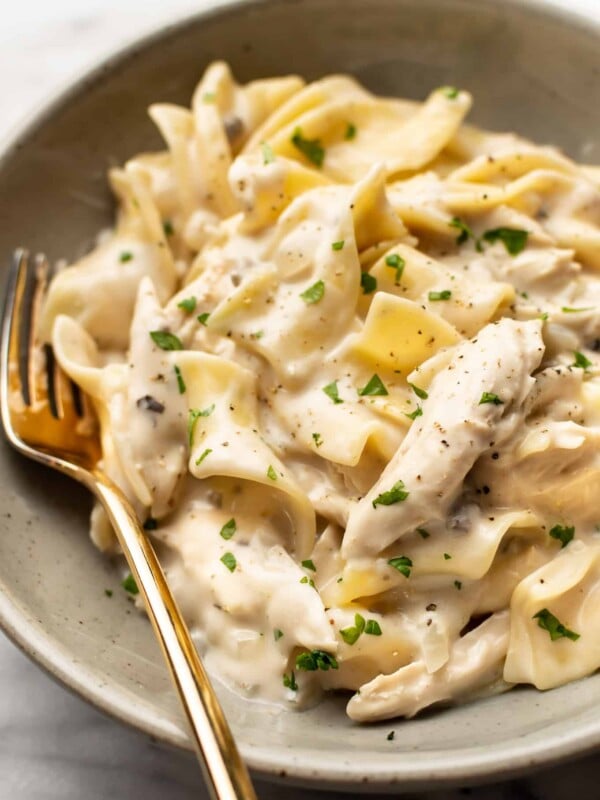 a bowl of chicken and noodles with a fork