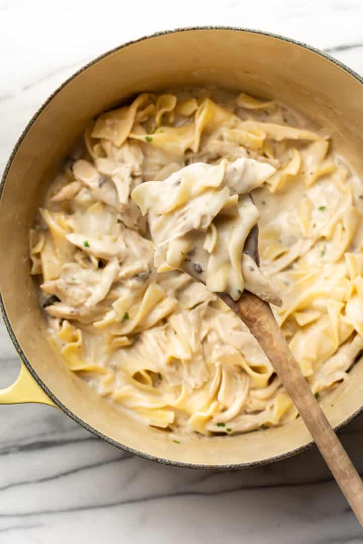 a pot with chicken and noodles and a wooden spoon