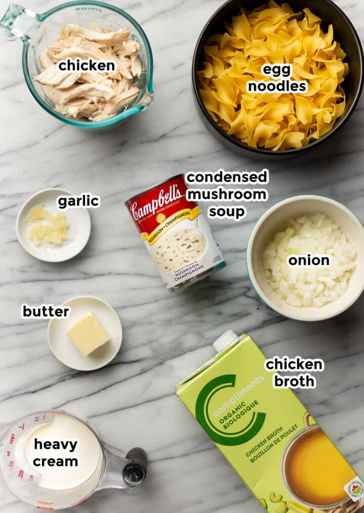 ingredients for chicken and noodles on a marble countertop