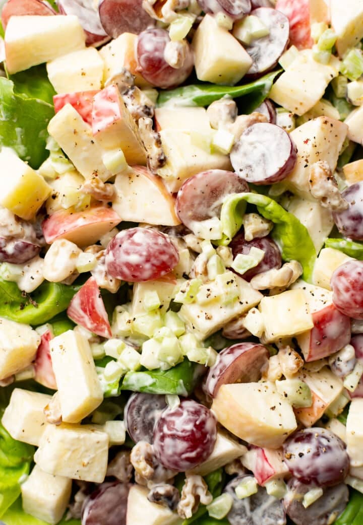 closeup of waldorf salad