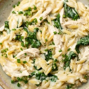 a bowl of boursin orzo with chicken