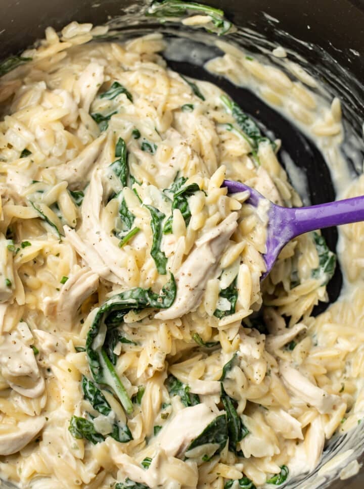 a spoonful of boursin orzo with chicken