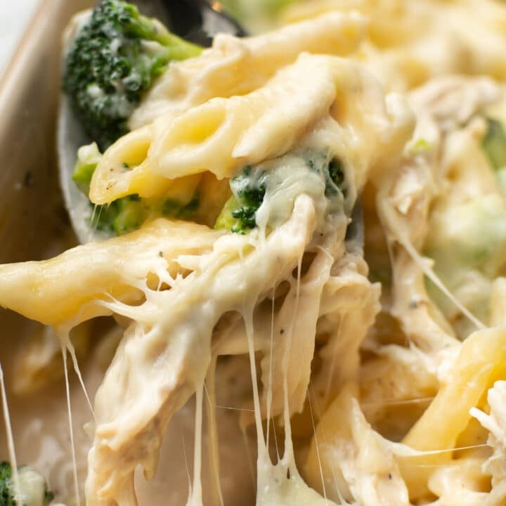 Chicken and Broccoli Alfredo Bake • Salt & Lavender