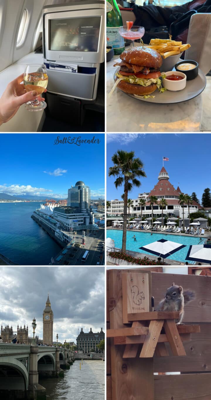 Salt and Lavender 2022 Year in Review collage with photos of travel for the year