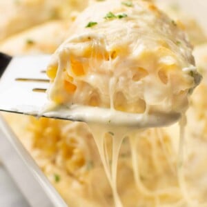 a skillet with a serving of chicken alfredo lasagna roll ups