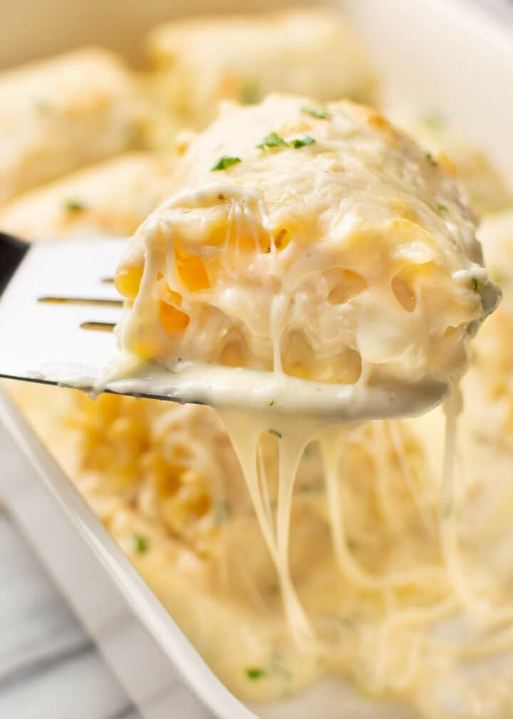 a skillet with a serving of chicken alfredo lasagna roll ups
