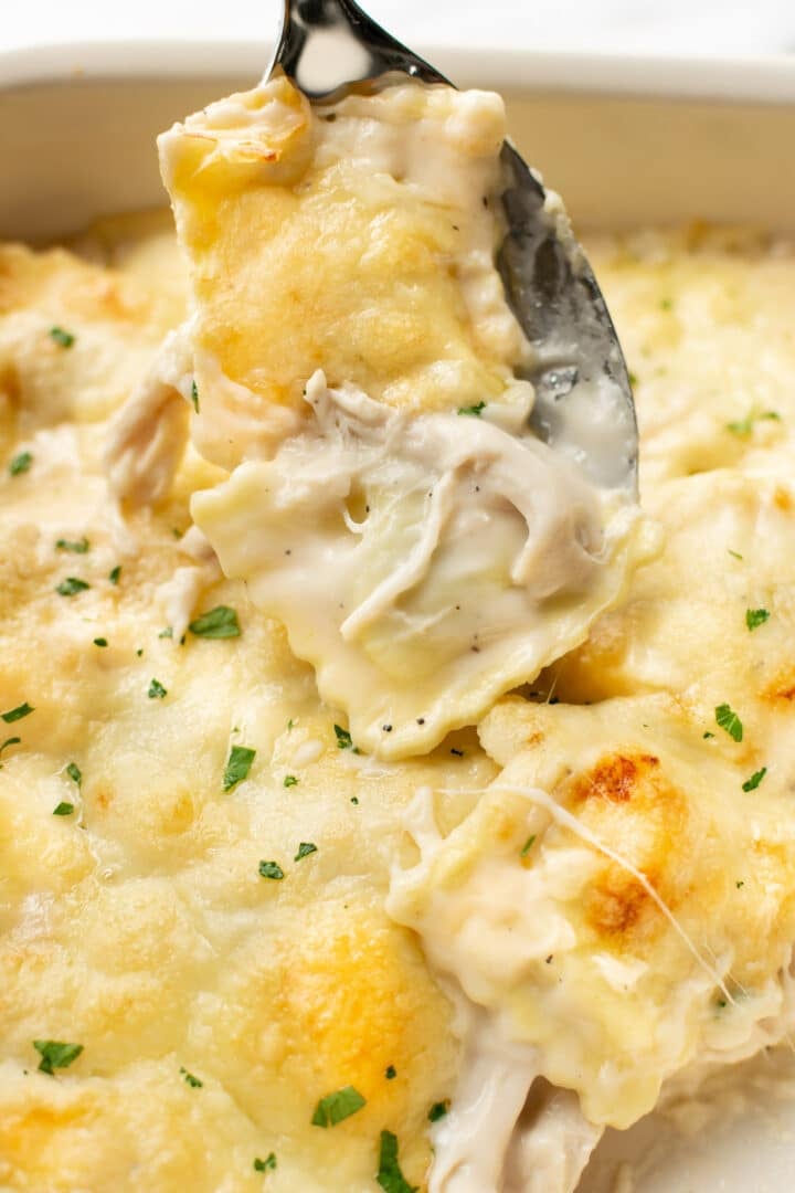 closeup of chicken alfredo ravioli bake on a serving spoon