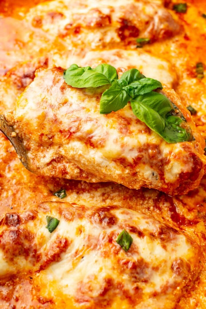 closeup of baked ricotta chicken with basil