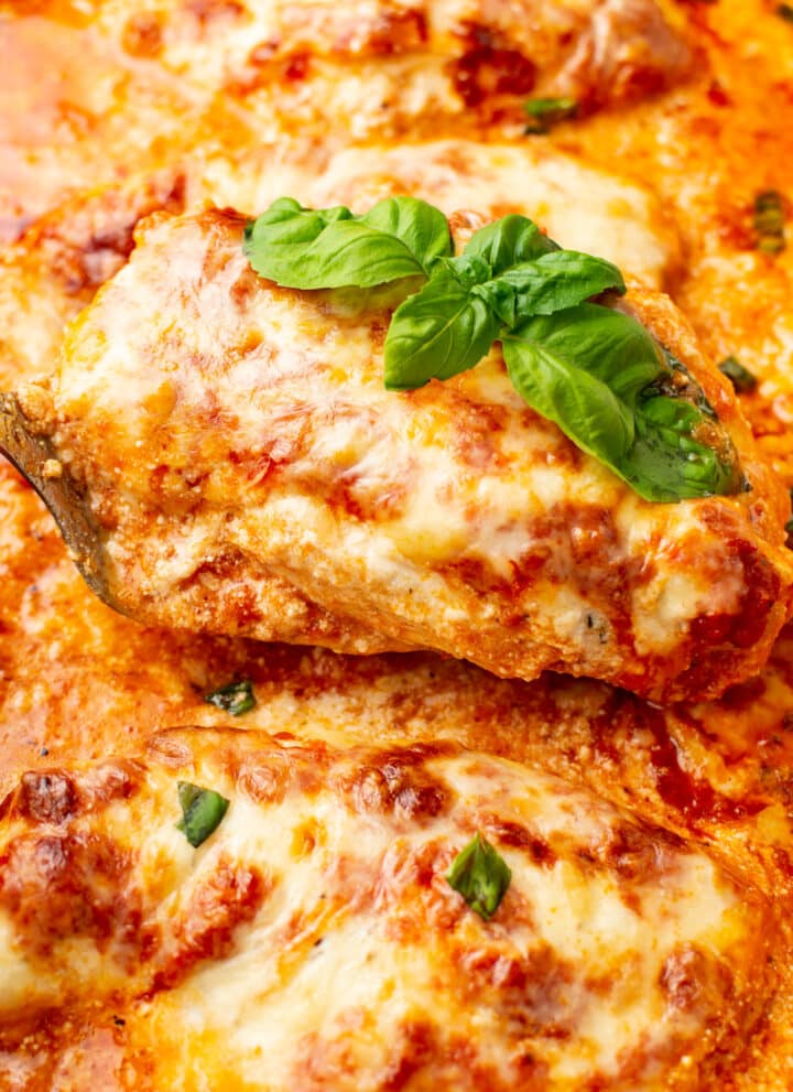 closeup of baked ricotta chicken with basil