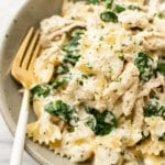 a bowl of boursin chicken pasta with a fork