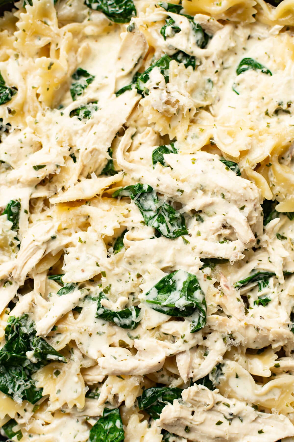 closeup of boursin chicken pasta