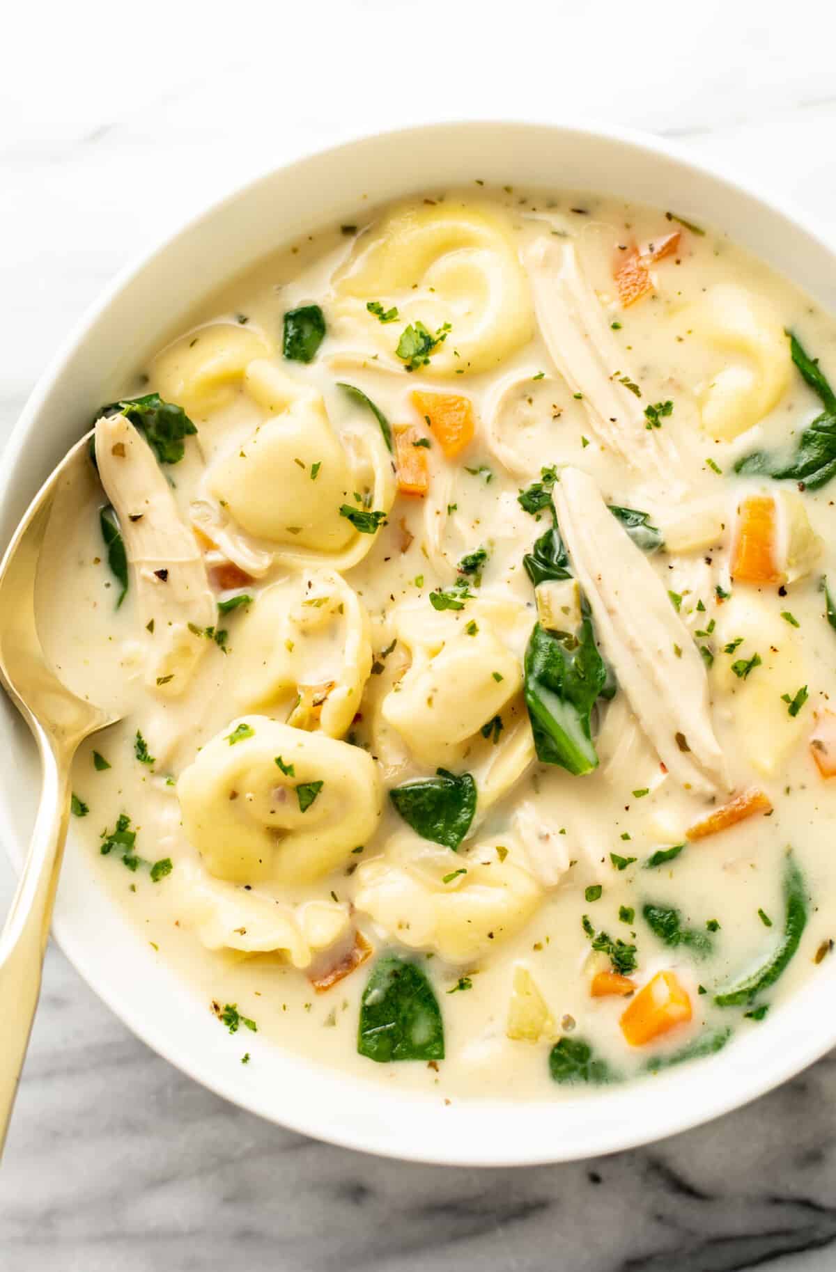 a bowl of lemon chicken tortellini soup with a spoon