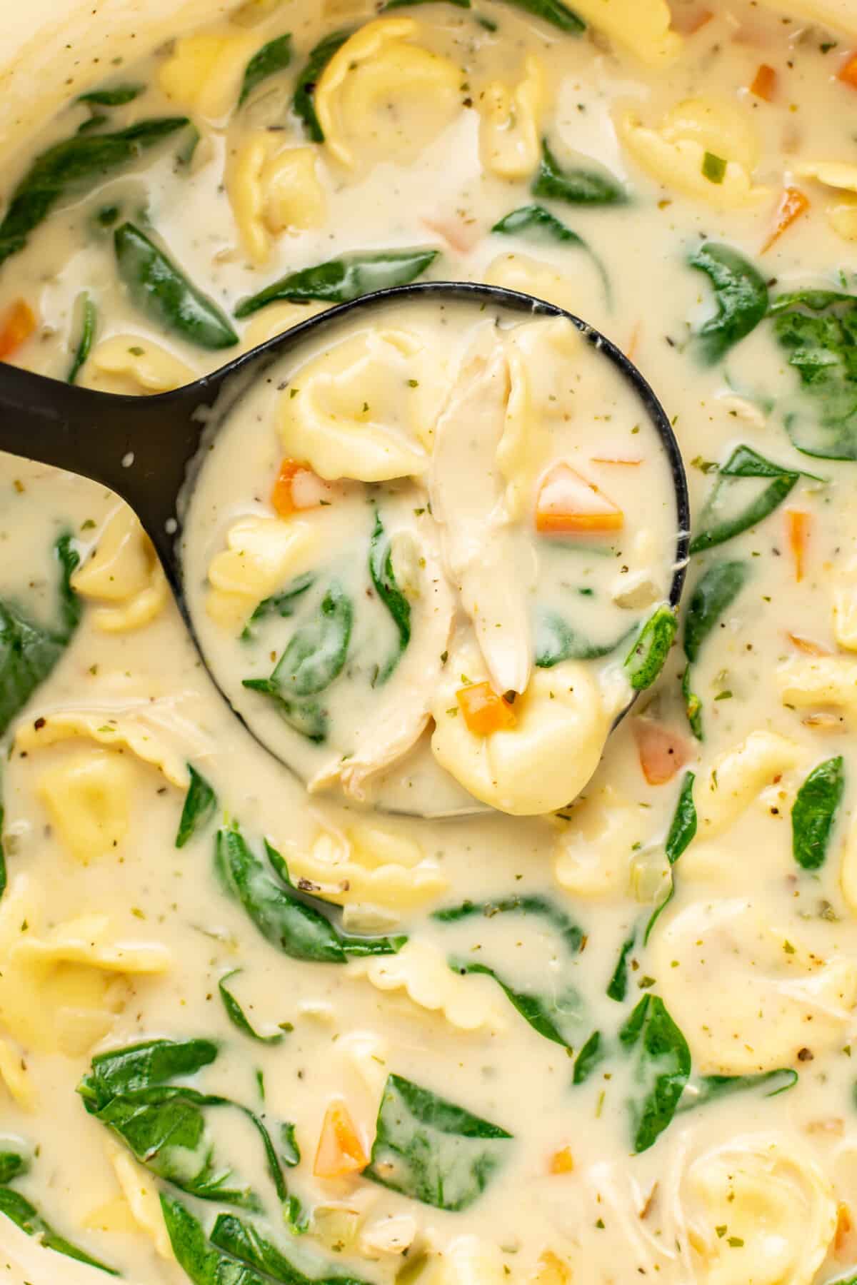 closeup of a ladle with creamy lemon chicken tortellini soup