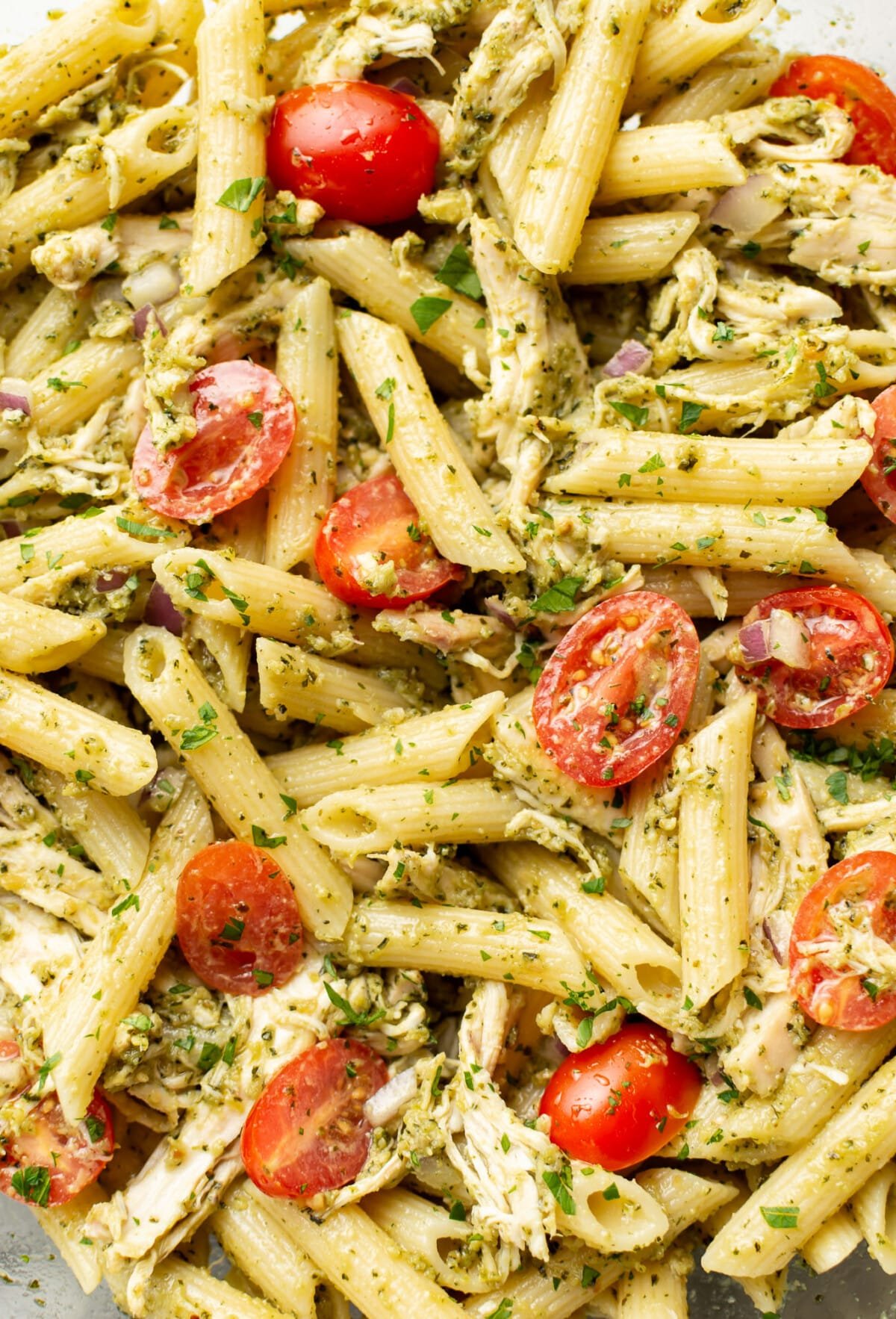 closeup of chicken pasta salad with pesto dressing