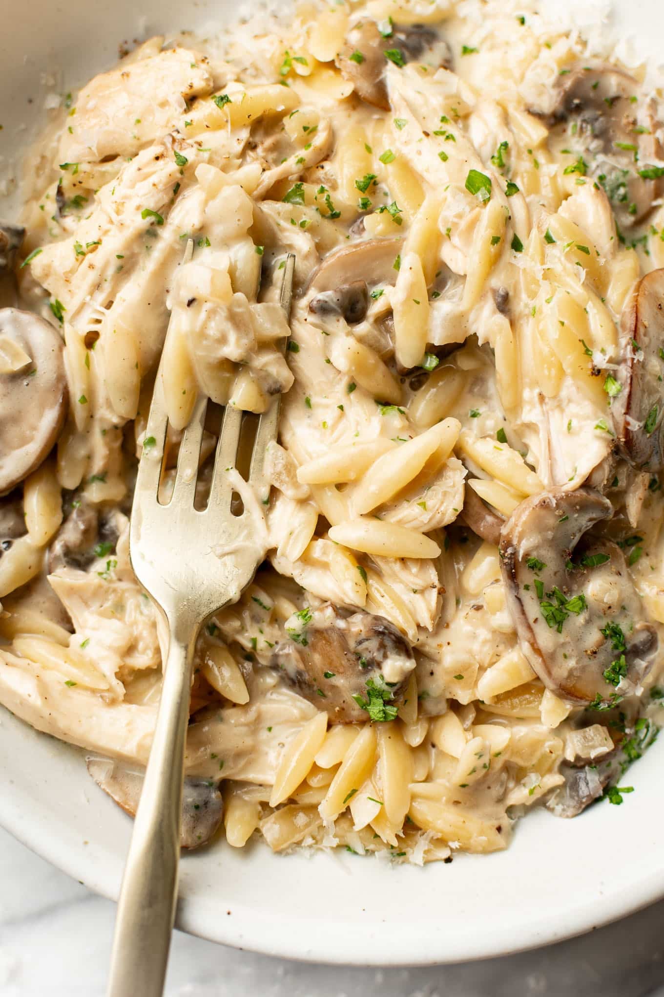 Creamy Mushroom Chicken Orzo