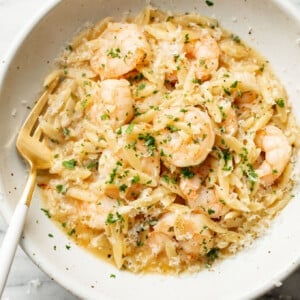 a bowl of shrimp scampi orzo with a fork