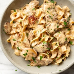 a bowl with beef stroganoff and egg noodles